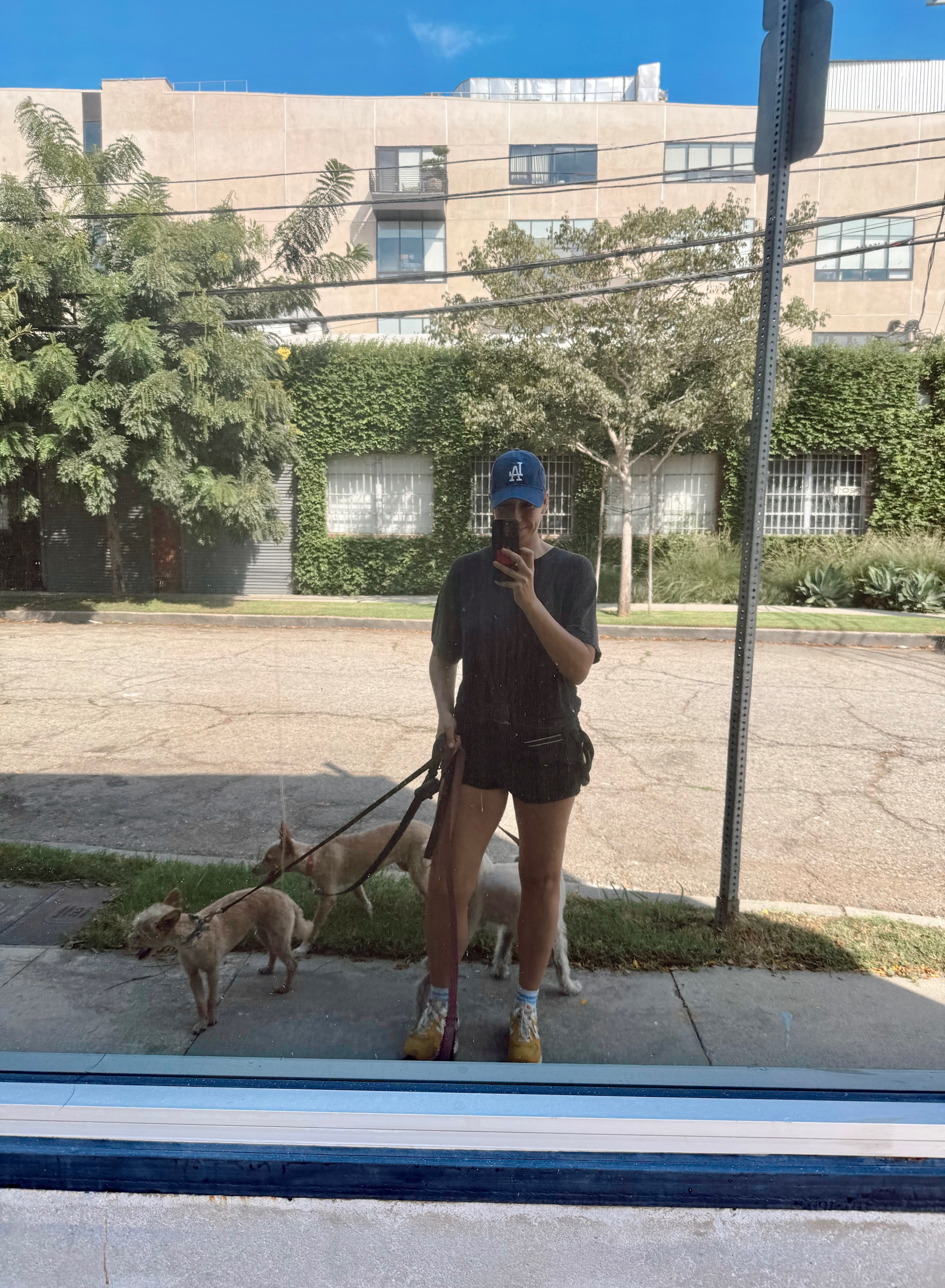 Person in blue cap taking a reflection selfie while walking three small dogs on leashes.